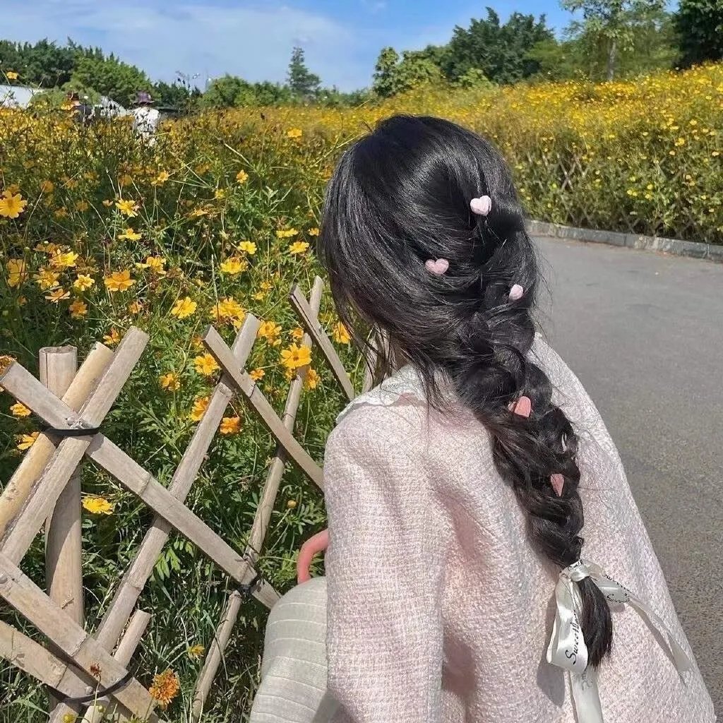 美国派2
